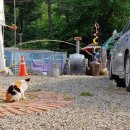 마이산뜰아래 이미지