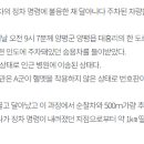 [속보]헬멧 안쓰고 번호판 없는 오토바이 몰다가 경찰 정차 명령에 달아나던 고교생, 주차된 차량 들이받고 심정지 이미지