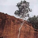 그리고마을 이미지