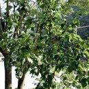 최고주유소 이미지