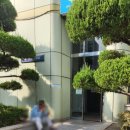 삼부스포렉스 이미지