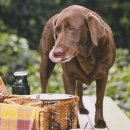 좋은말동물병원 이미지