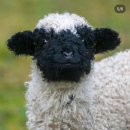 헤어살롱더공간 이미지