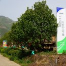 햇빛촌바랑산마을 이미지