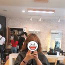 헤어보노(HAIR Bono)