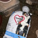 퍼스트초이스 | [강아지 사료] 대형견 사료 퍼스트 초이스 어덜트 후기