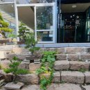 금산분재펜션 이미지