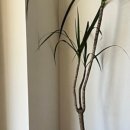 성서1길 이미지