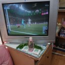 영남이용소 Daum카페