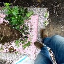 하늘뜰 농장 이미지