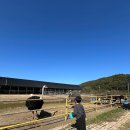 수동농장 이미지