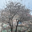 정마프라자 | 상동역마사지 미단마사지에서 스포츠+아로마 받은 후기