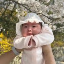두류공원 벚꽃 개화 26.03.29 / 대구 아기랑 갈만한곳 / 포토스팟, 주차 정보