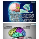 탑홀스 이미지