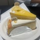 맛집] 레몬케이크가 맛있는 카페드리옹 내돈내산 솔직후기(상큼레몬케이크, 알자스치즈케이크, 디저트...