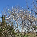 산이면사무소 이미지