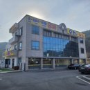 오리면 돼지 이미지