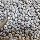 이삭농장 이미지