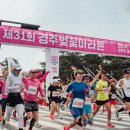 보문 이미지