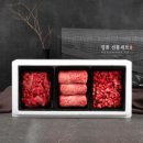 프리본 인터내셔널 주식회사 이미지