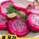 부산족발 주식회사 이미지