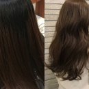 엘바인테리어 이미지