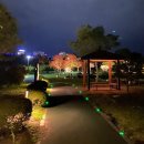 파크선샤인제주 관광호텔 | 한라산 뷰 감성 호텔, 파크 선샤인 제주 숙박 후기