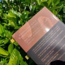 대성당안경 이미지