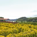 미로공원 화장실 이미지