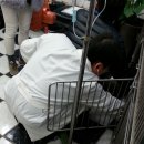 박성식동물병원 이미지