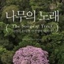 나무의노래