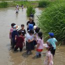 화정글샘도서관 이미지