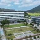 팔영체육관 이미지