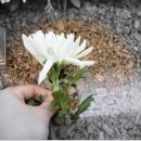 수원연화장 납골당 유가족과 고인 모두를 위한 추모 공간