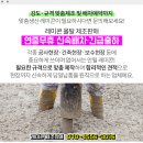 삼중자동차공업사 이미지