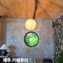 남원읍-118 | 제주 서귀포 카페 여행 가볼만한곳 추천 5곳