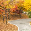 (주)양평수도 네이버블로그