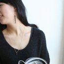 파라키스 이미지