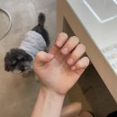 부산 서면 네일 뉴아르뷰티 서면본점 깔끔한네일 후기