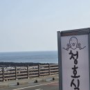 관전로 | [제주 서귀포] 청호식당 성산맛집 섭지코지 바다뷰 해물라면 맛집 청호식당 아침식사 추천