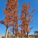 장유마을공원 | [김해 장유 가볼만한곳]롯데장유아울렛 바로 옆 롯데가든파크 테마공원