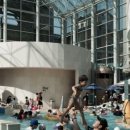 정웅인 카카오 검색결과