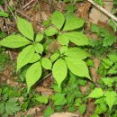 종합운동장역 4번출구 이미지