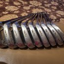 Honma Twin Marks TM 202 아이언새트 R-Flex $650 이미지