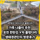 생태다리 | 솔직 후기: 포천 한탄강 Y자 출렁다리 생태경관단지, 아찔함과 힐링을 한 번에!