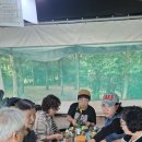 인천대공원 캠핑 후기 이미지