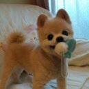 D&C 그루밍 샵 네이버블로그
