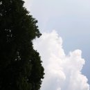 귀래면 주민자치센터 이미지