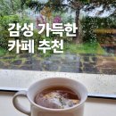 판교 카페 추천, 로스팅팩토리 &lt;나무사이로 석운점&gt; 방문 후기