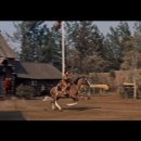 로즈마리숲 이미지